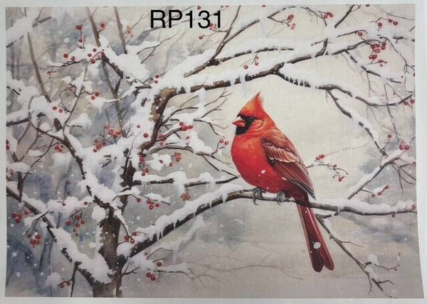 Christmas (RP131) - Still Wintry Woodland Cardinal