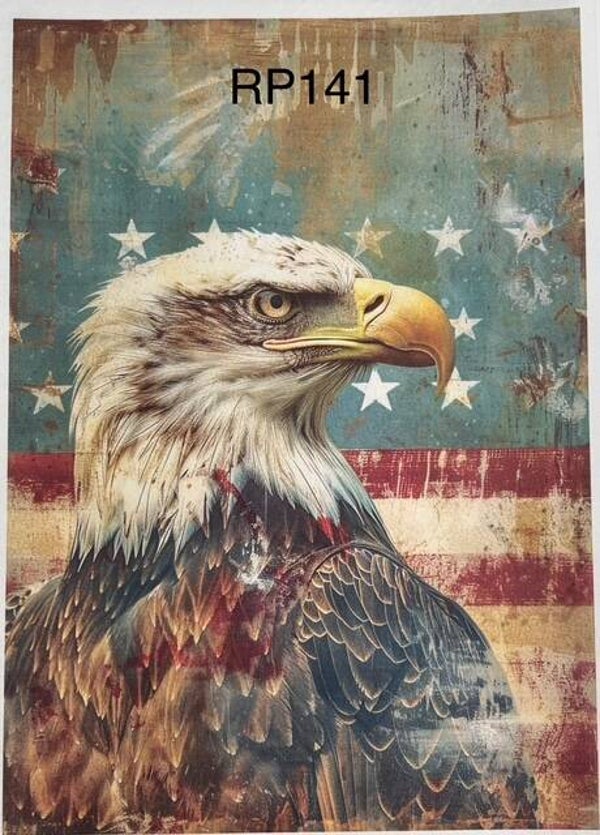 4th of July (RP141) - American Grunge Bald Eagle 2