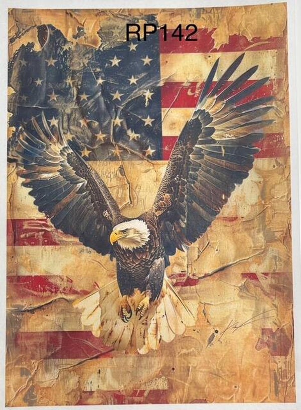 4th of July (RP142) - Amercian Grunge Bald Eagle 3