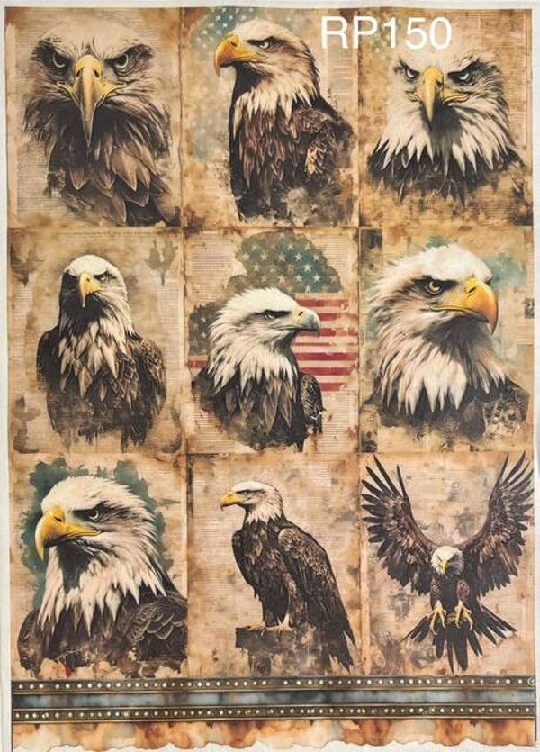 4th of July (RP150) - Eagle Portraits