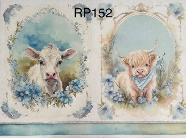 Cows (RP152) - Baby Cows