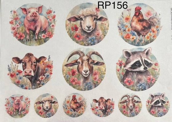 Animals (RP156) - Barnyard Animal Circles