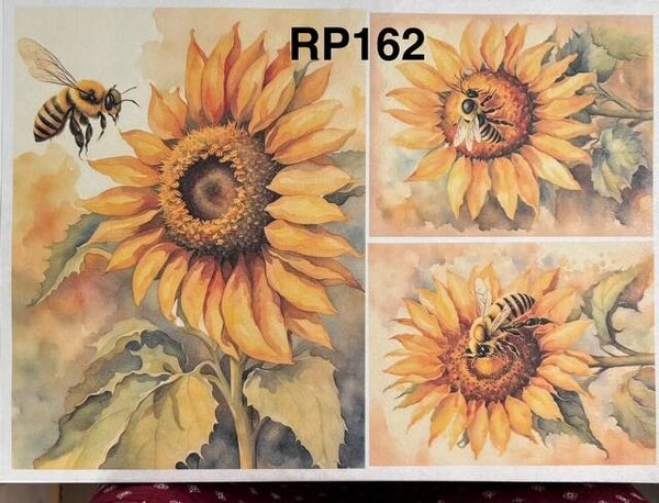 Sunflowers (RP162) - Bee and Sunflower