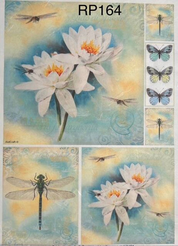 Flowers (RP164) - Waterlily and Dragonflies