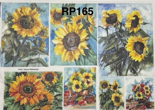 Sunflowers (RP165) - Sunflower Watercolor
