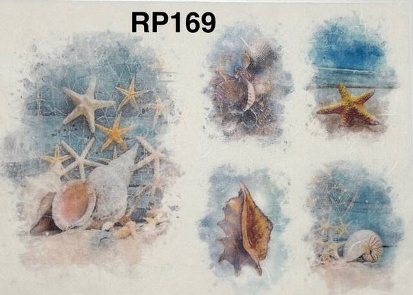 Beach (RP169) - Coastal Shells and Starfish