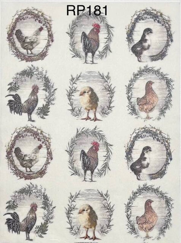 Birds (RP181) - Chicken Medallions