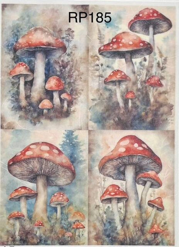 Vegetables (RP185) - Mushrooms