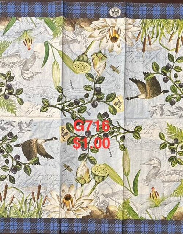 Birds (G716) - MDW Mallard Ducks