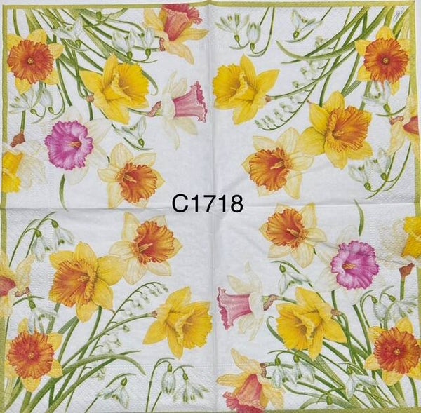 Flowers (C1718) - Yellow Daffodils
