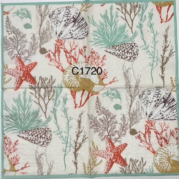 Beach (C1720) - Shells, Starfish, Sea Plants (Algae)