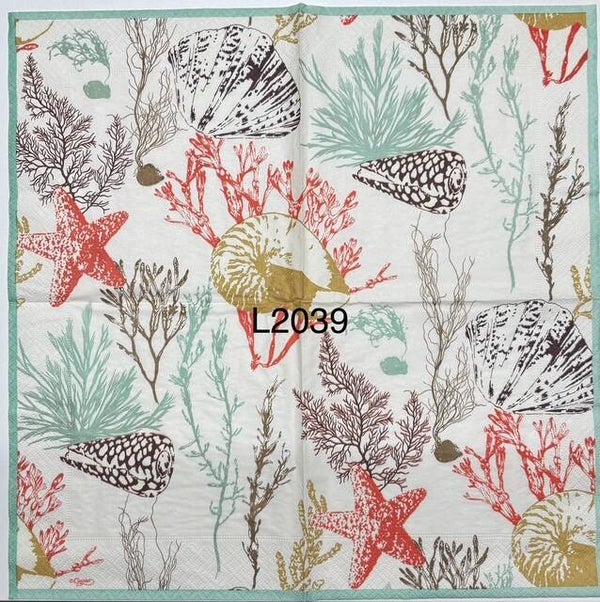 Beach (L2039) - Shells and Sea Plants (Algae)