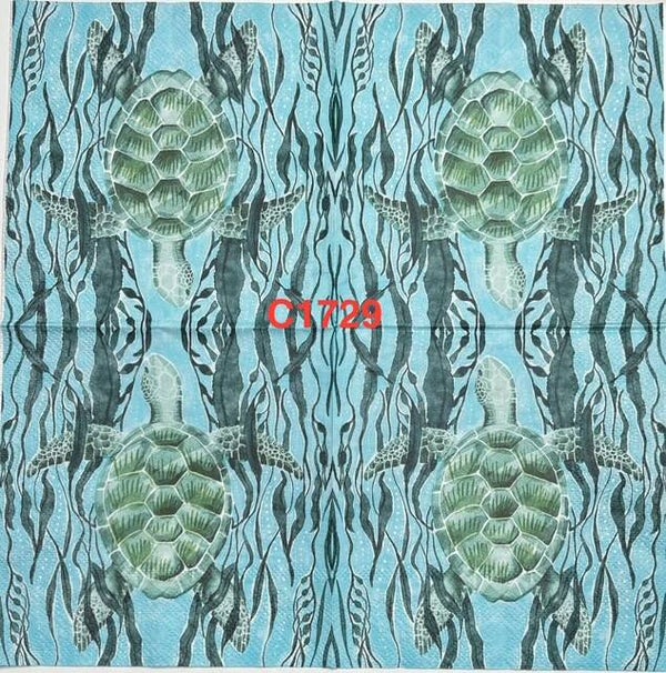 Beach (C1729) - Turtle Swimming Through Sea Plants (Algae)