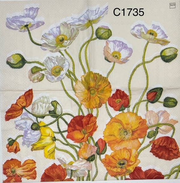 Flowers (C1735) - Orange, Peach, White and Yellow Flowers