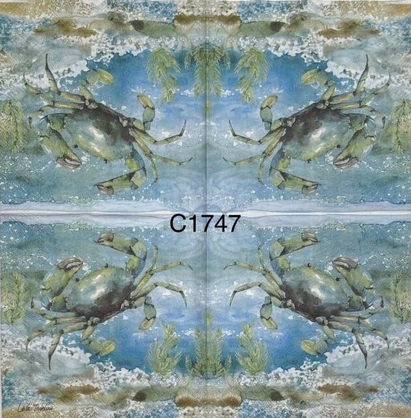 Beach (C1747) - Crab Swimming