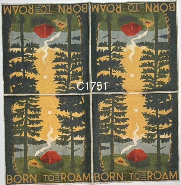 Camping (C1751) - Campsite