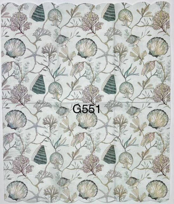 Beach (G551) - Shells, Starfish, Plants (Algae)
