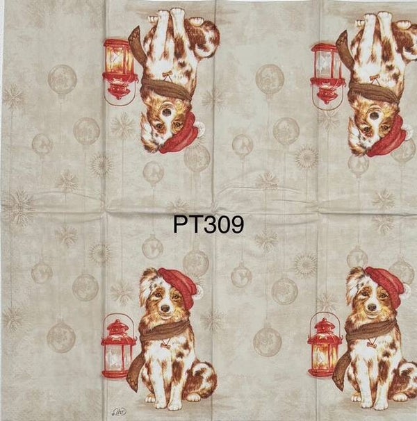 Dogs (PT309) - Dog Wearing a Santa Hat