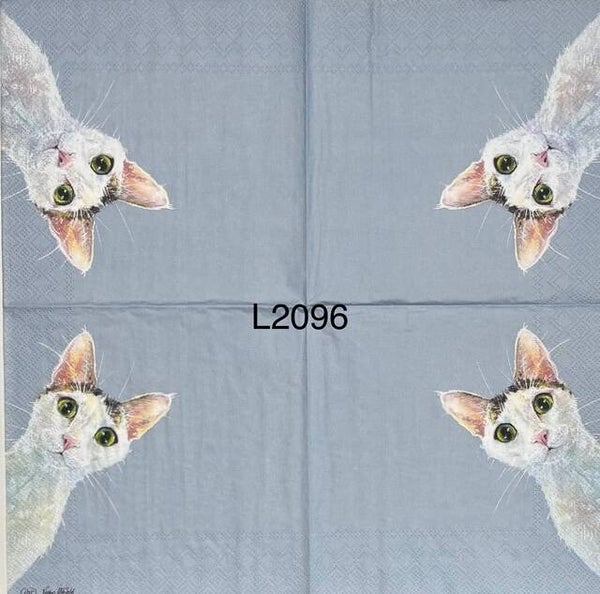 Cats (L2096) - White Cat Peeking