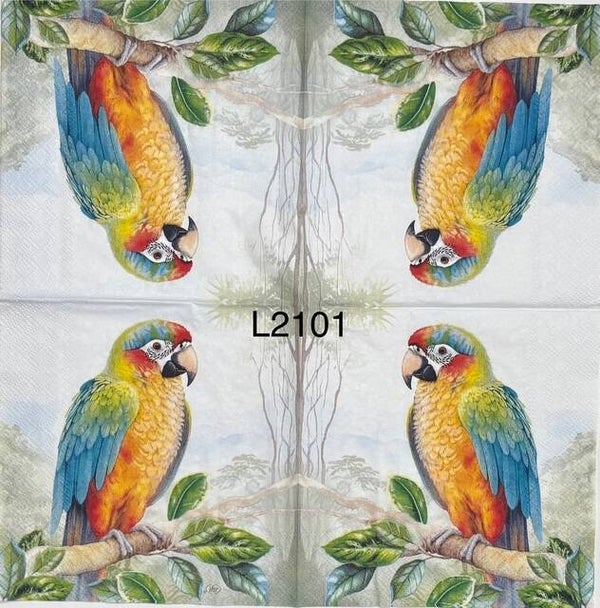 Birds (L2101) - Colorful Macaw