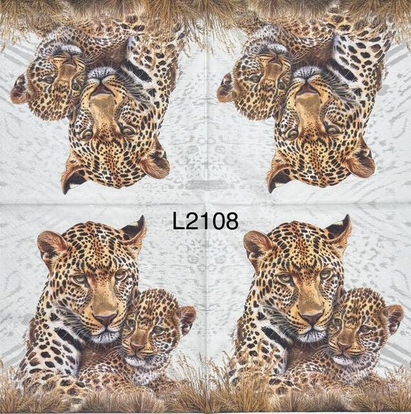 Cats (L2108) - Leopard Mom and Cub