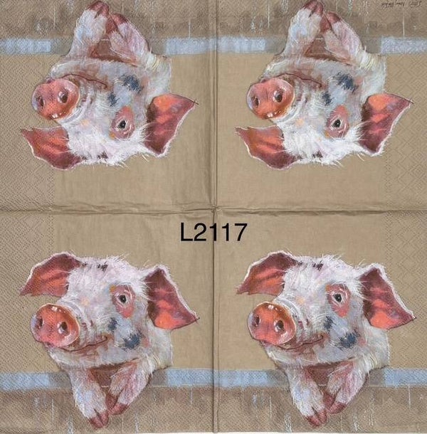 Animals (L2117) - Dirty Pig Looking Over Fence