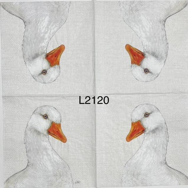 Birds (L2120) - White Duck