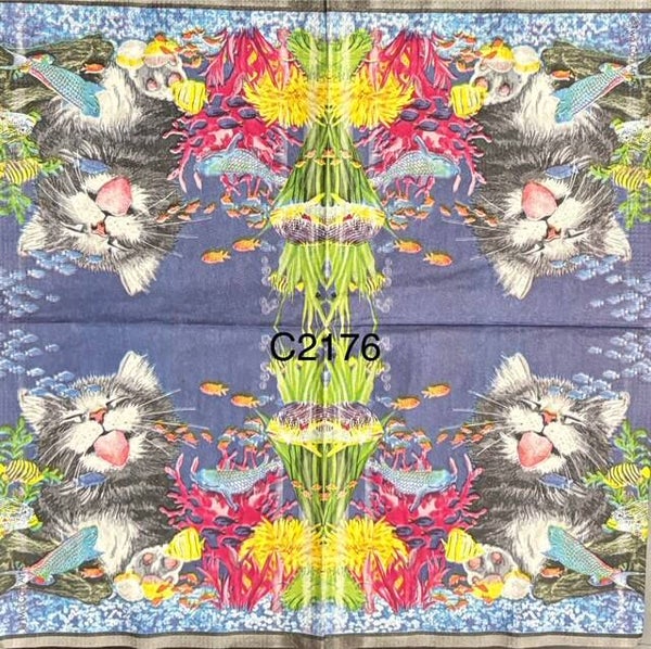 Cats (C2176) - Kitten Licking Fish Tank (Bright Colors)