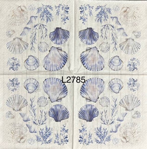 Beach (L2785) - Blue and White Sea Shells