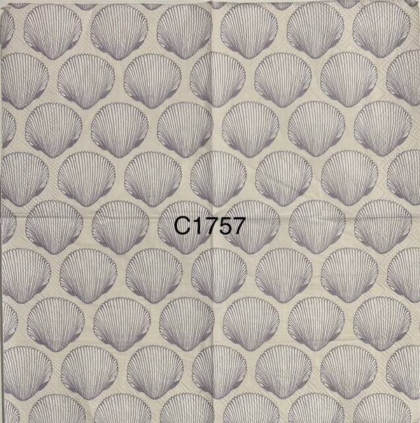 Beach (C1757) - Clam Shells
