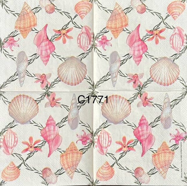 Beach (C1771) - Peach and Pink Shells