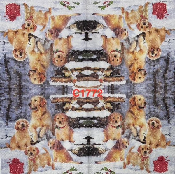 Dogs (C1772) - Mom Dog with Puppies in Snow - Christmas