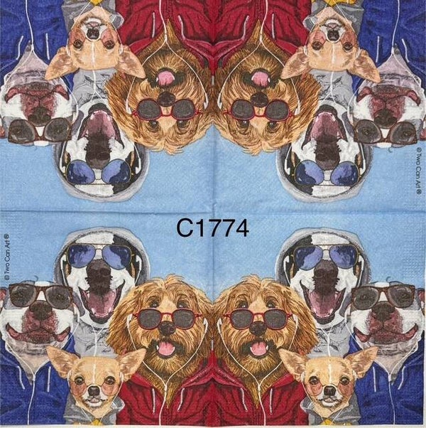 Dogs (C1774) - Dogs Wearing Glasses and Headphones
