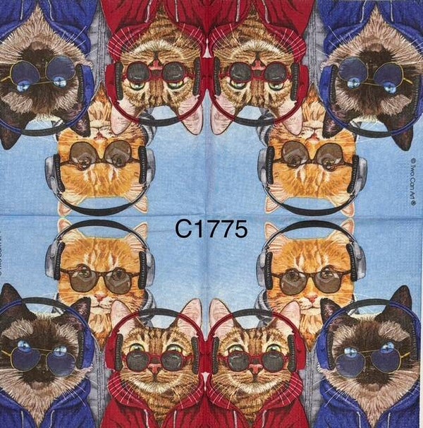Cats (C1775) - Cats Wearing Glasses and Headphones