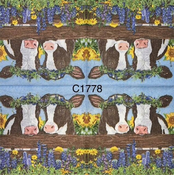 Cows (C1778) - Two Cows with Flower Headpiece by Fence