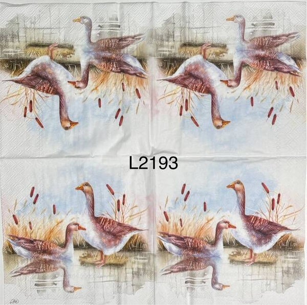 Birds (L2193) - Geese on Water and Shore