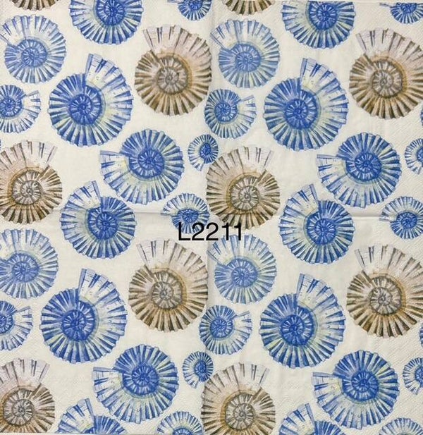 Beach (L2211) - Shells