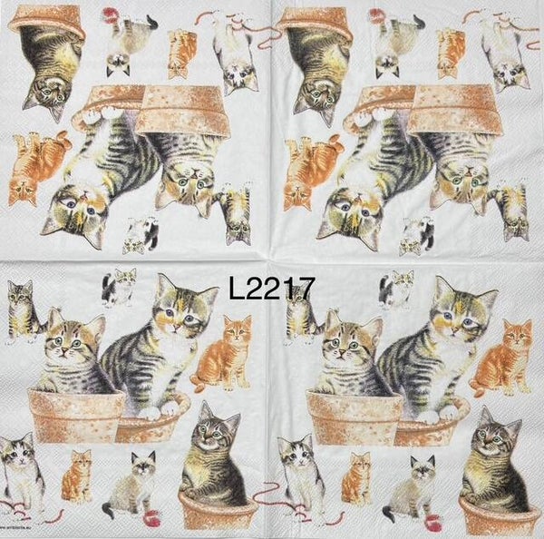 Cats (L2217) - Cats