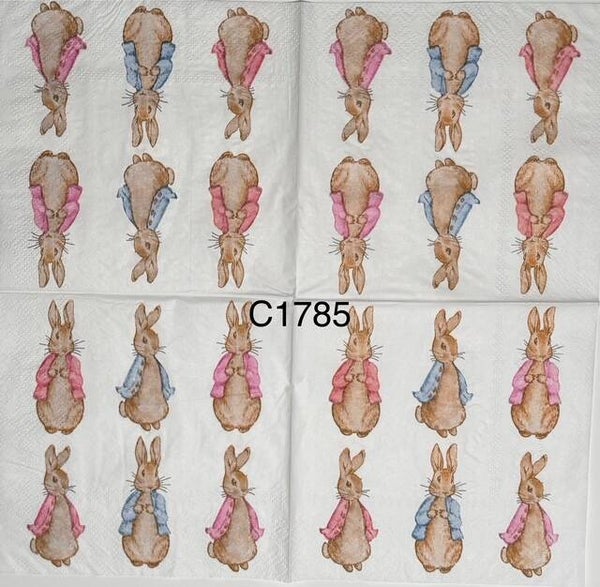 Easter (C1785) - Easter Bunnies in Pink and Blue