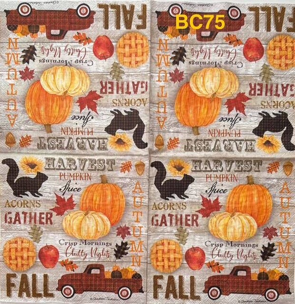 Fall (BC75) - All Things Fall