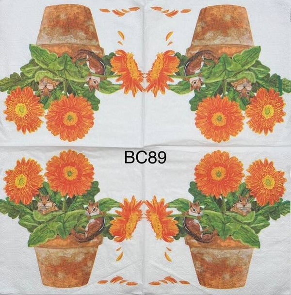 Flowers (BC89) - Orange Gerbers with Squirrels in Flower Pot