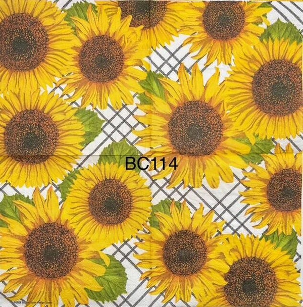 Sunflowers (BC114) - Sunflowers