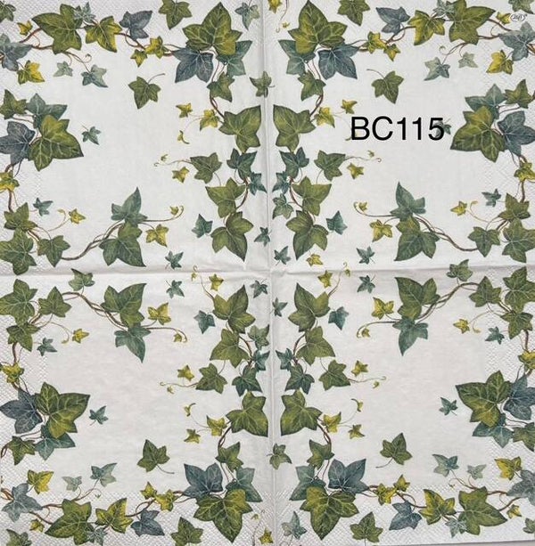 Plants (BC115) - Ivy