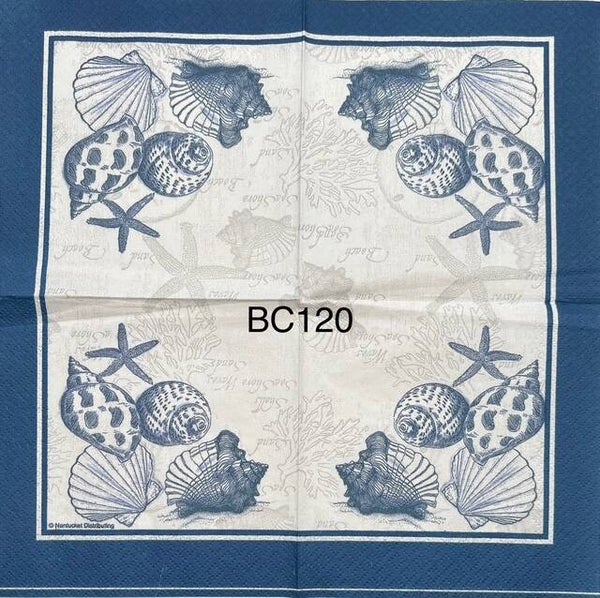 Beach (BC120) - Shells