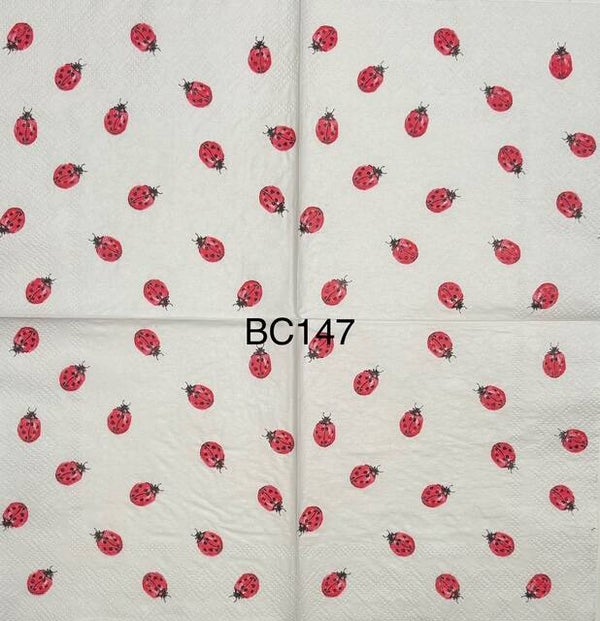 Animals (BC147) - Ladybugs Wallpaper