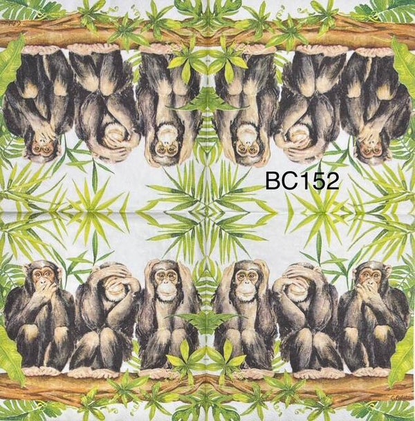 Animals (BC152) - Speak/See/Hear no Evil Monkeys