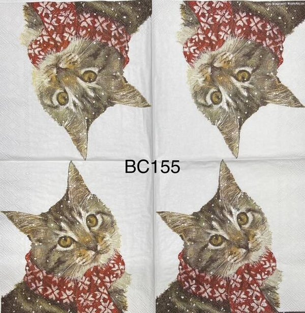 Cats (BC155) - Cat with Scarf