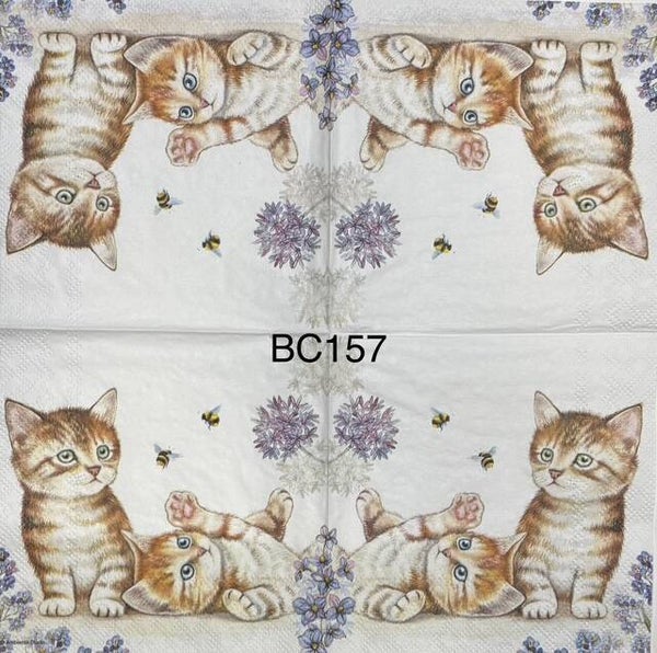 Cats (BC157) - Kittens Swatting at Bees