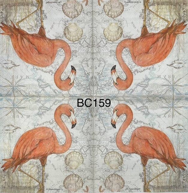 Birds (BC159) - Flamingo with Shell Wallpaper