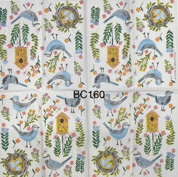 Birds (BC160) - Birds, Nests, Birdhouse